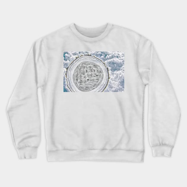 What In The World Is That? Crewneck Sweatshirt by becky-titus